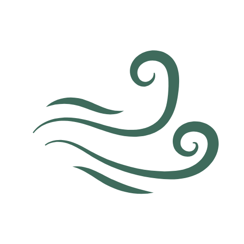 icon of a breeze