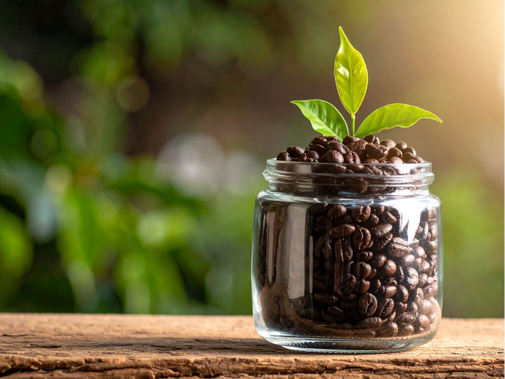 recycled jar filled with coffee beans and a plant